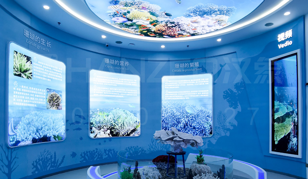 徐闻珊瑚礁3.png