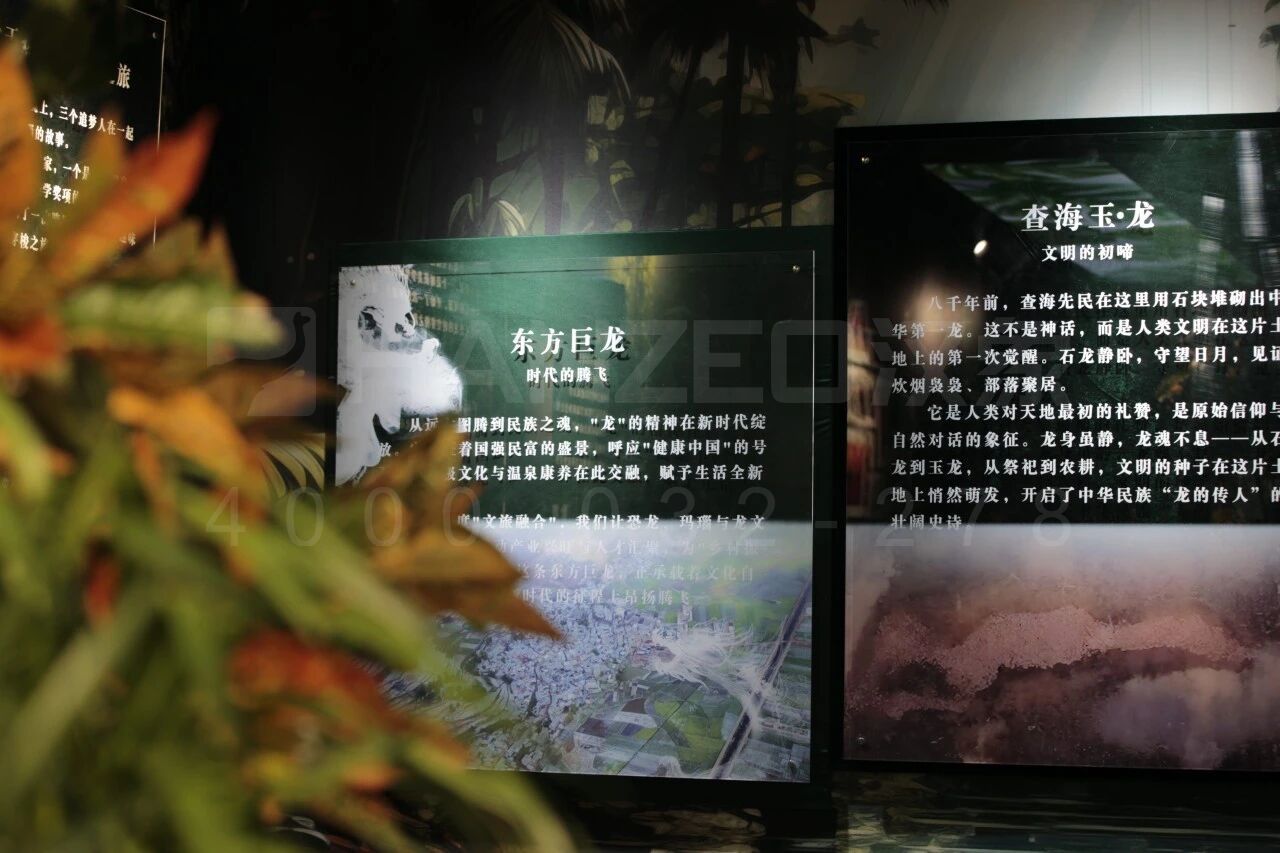 1006.jpg