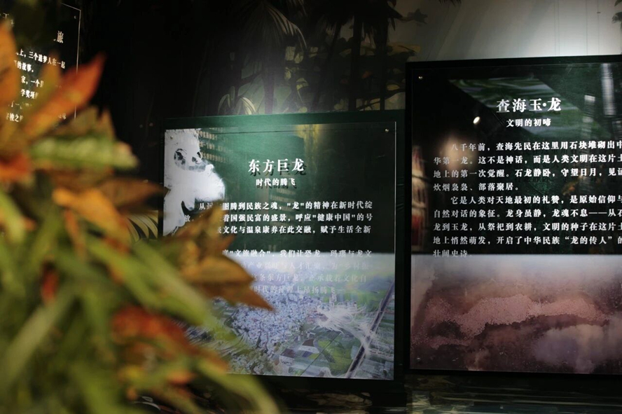 1006.jpg